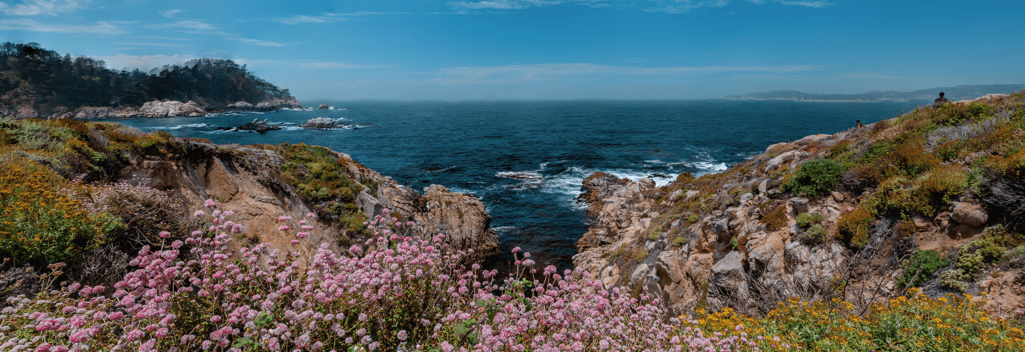 Coastal landscape with rocky shore, ocean, and pink flowers.